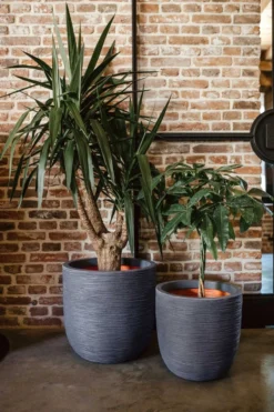 Capi Europe - Bloempot Bol Rib NL - 43x41 - Antraciet - Voor Binnen En Buiten - KOFZ933 -RHRQuality winkel 800x1200 18