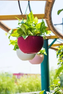 Hangpot Kunststof – Bloempot Hangend – Binnen & Buiten- Plantenhanger –Incl. Afvoerstop – 26 Cm - Zwart -RHRQuality winkel 801x1200 2