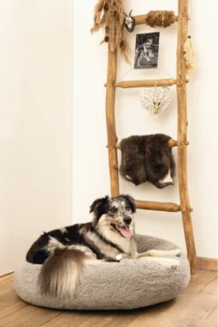 Beeztees Orthopedische Hondenmand Jaxx Grijs 70 Cm - Hond -RHRQuality winkel 801x1200