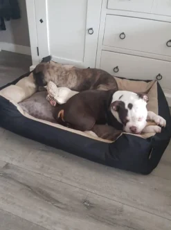 Hondenmand Cordura XXXL – Donkergrijs - 125 X 90 X 24 Cm -RHRQuality winkel 892x1200