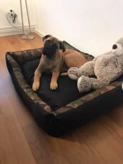 Hondenmand Cordura XXXL – Donkergrijs - 125 X 90 X 24 Cm -RHRQuality winkel 900x1200