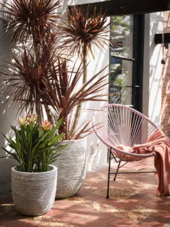 Capi Europe - Bloempot Bol Rib NL - 43x41 - Antraciet - Voor Binnen En Buiten - KOFZ933 -RHRQuality winkel 900x1200 6