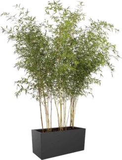 Elho Vivo Matt Finish Lang Wielen 90 - Grote Staande Plantenbak Voor Binnen & Buiten - Gemaakt Van Gereycled Plastic - L 39 X W 88 X H 41 Cm - Zwart -RHRQuality winkel 911x1200
