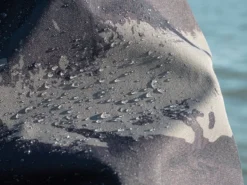 Fox Rage RS Triple-Layer Jacket -RHRQuality winkel NPR380r 9