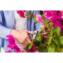 FELCO 14 Snoeischaar - 18 Mm -RHRQuality winkel felco 14 snoeischaar 2