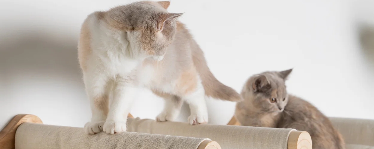 Front Page -RHRQuality winkel 15